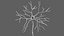 Multipolar Neuron Structure 3D model