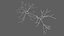 Multipolar Neuron Structure 3D model