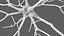 Multipolar Neuron Structure 3D model