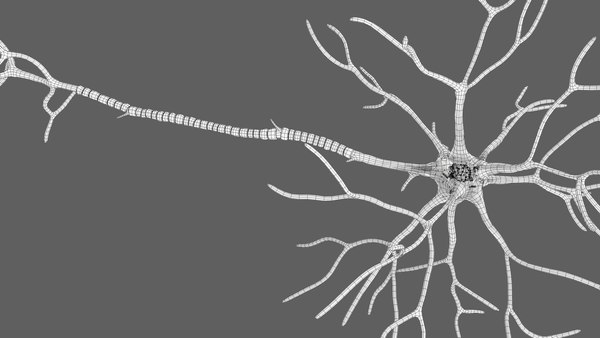 modelo 3d Estructura de la neurona multipolar - TurboSquid 2310930
