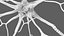 Multipolar Neuron Structure 3D model