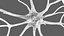 Multipolar Neuron Structure 3D model
