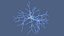 Multipolar Neuron Structure 3D model
