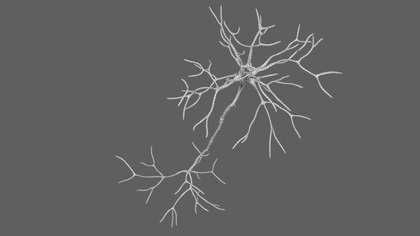 modelo 3d Estructura de la neurona multipolar - TurboSquid 2310930