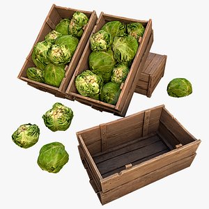 Cabbage Box Crate Stand 3D