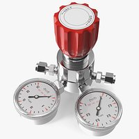 Gas Regulator with Two Gauges