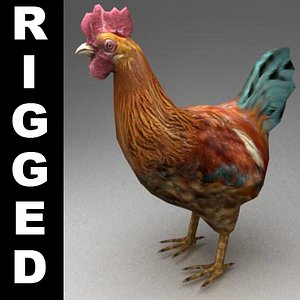 rigged hen 3d 3ds