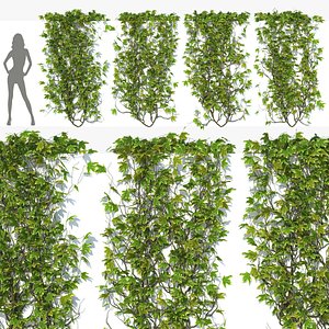 Wall with Ivy H-200 3D model