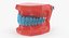 typodont transparent removable retainer 3D