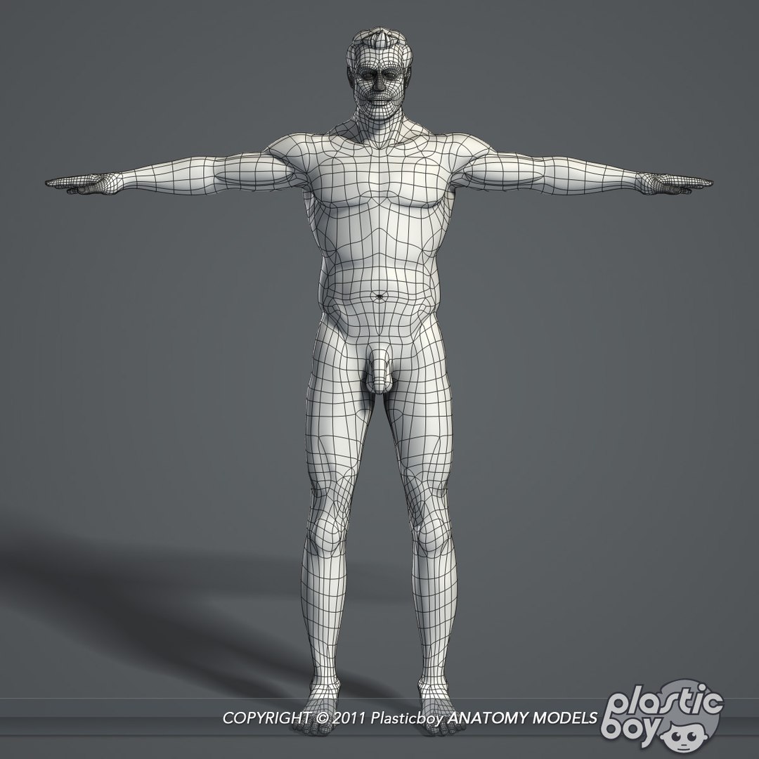 human male skeletal body fbx https://p.turbosquid.com/ts-thumb/qa/miDCW0/mgzyKGiQ/male_body_01_wf/jpg/1305202913/1920x1080/fit_q87/1f833ede88435ca9747345f0ce0586b4b128cbe2/male_body_01_wf.jpg