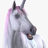 Unicorn Realistic