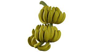 3D Bunch of Banana