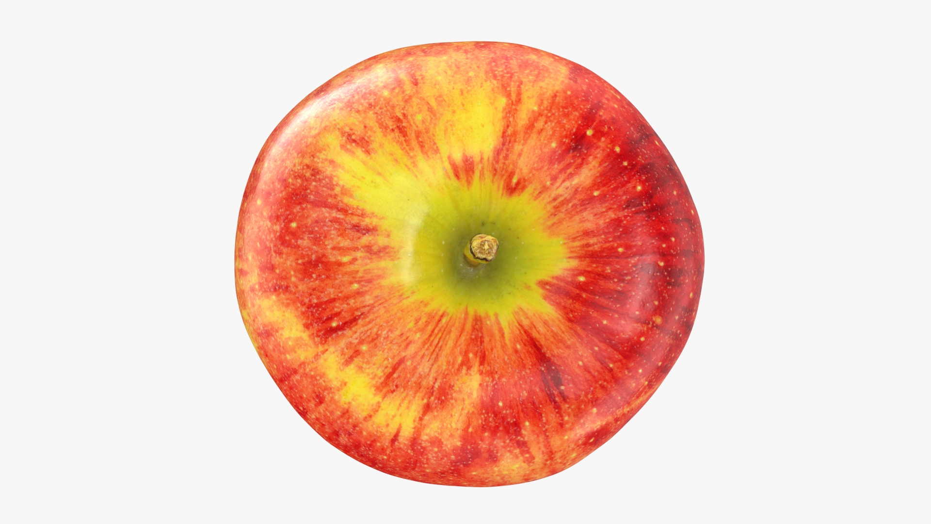 3D Large Gala Apple 02 model https://p.turbosquid.com/ts-thumb/qb/16hGMP/LY/galaapplela2t2/jpg/1721500114/1920x1080/turn_fit_q99/d6b87ba5b2f3f26559752a45aa59d600d7e6fc0f/galaapplela2t2-1.jpg