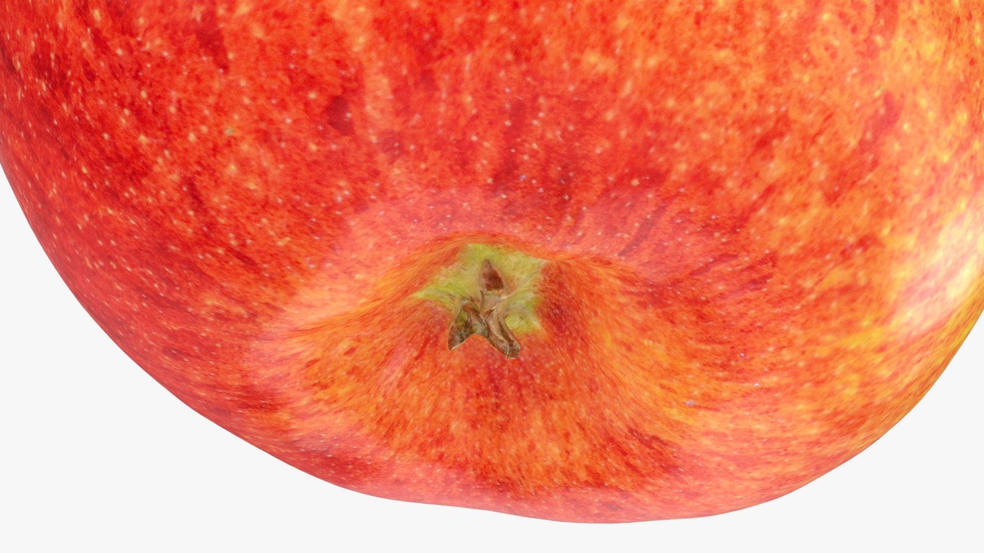 3D Large Gala Apple 02 model https://p.turbosquid.com/ts-thumb/qb/16hGMP/cs/galaapplela2_b0022/jpg/1721500071/1920x1080/fit_q87/68db54381ac1faf0c348f4f99e339f02af2e7e68/galaapplela2_b0022.jpg