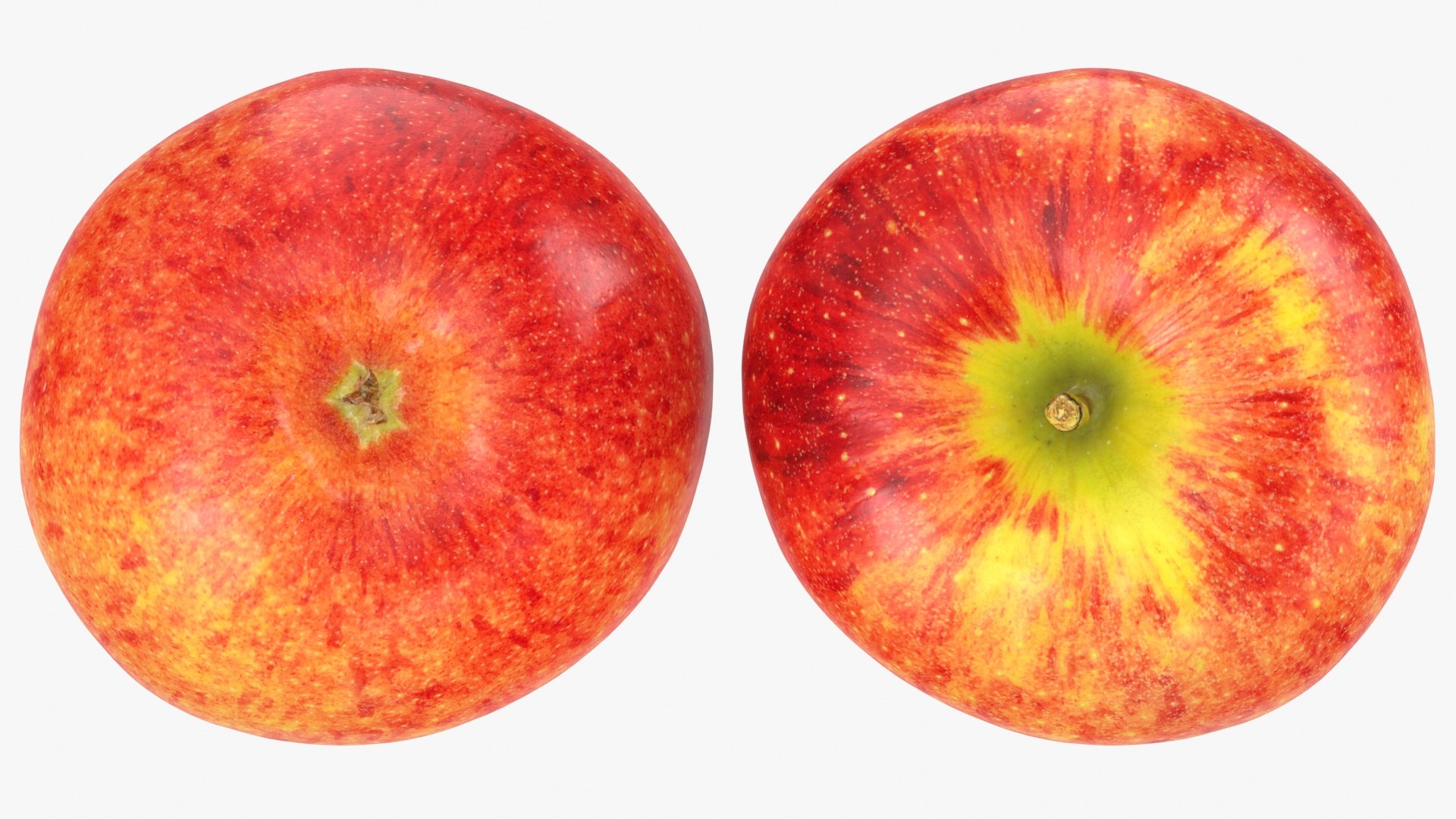 3D Large Gala Apple 02 model https://p.turbosquid.com/ts-thumb/qb/16hGMP/yp/galaapplela2_a0002/jpg/1721500045/1920x1080/fit_q87/f3ca0d5da5972b50ec65e2ded1af5b4f577b1028/galaapplela2_a0002.jpg