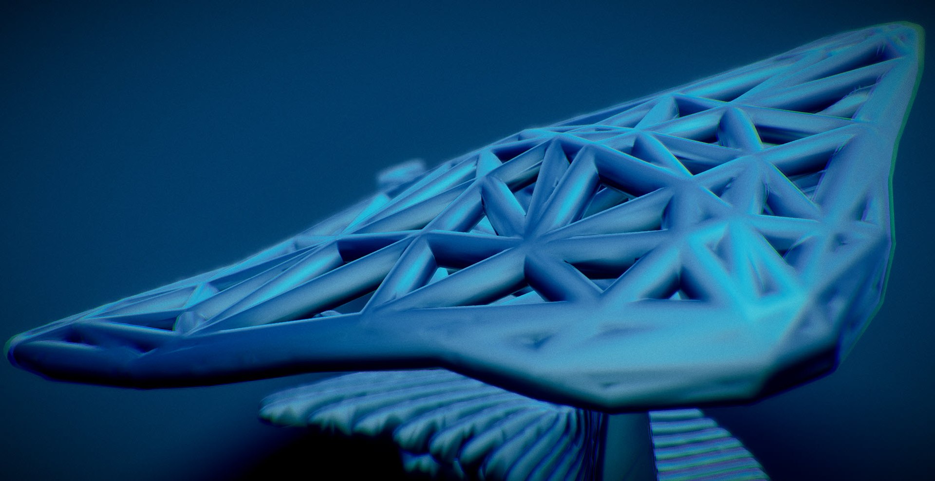stingrays rays fish 3D https://p.turbosquid.com/ts-thumb/qb/1EAvjG/M8w8lJJE/112/jpg/1577136953/1920x1080/fit_q87/5c067388e4068e9aff314985b1d0e6b500c4b45e/112.jpg