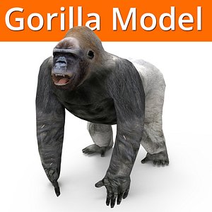 3D gorilla