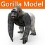 gorilla model