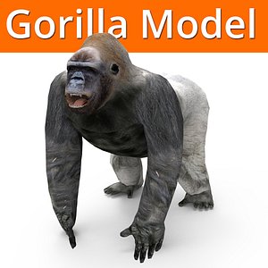 gorilla model