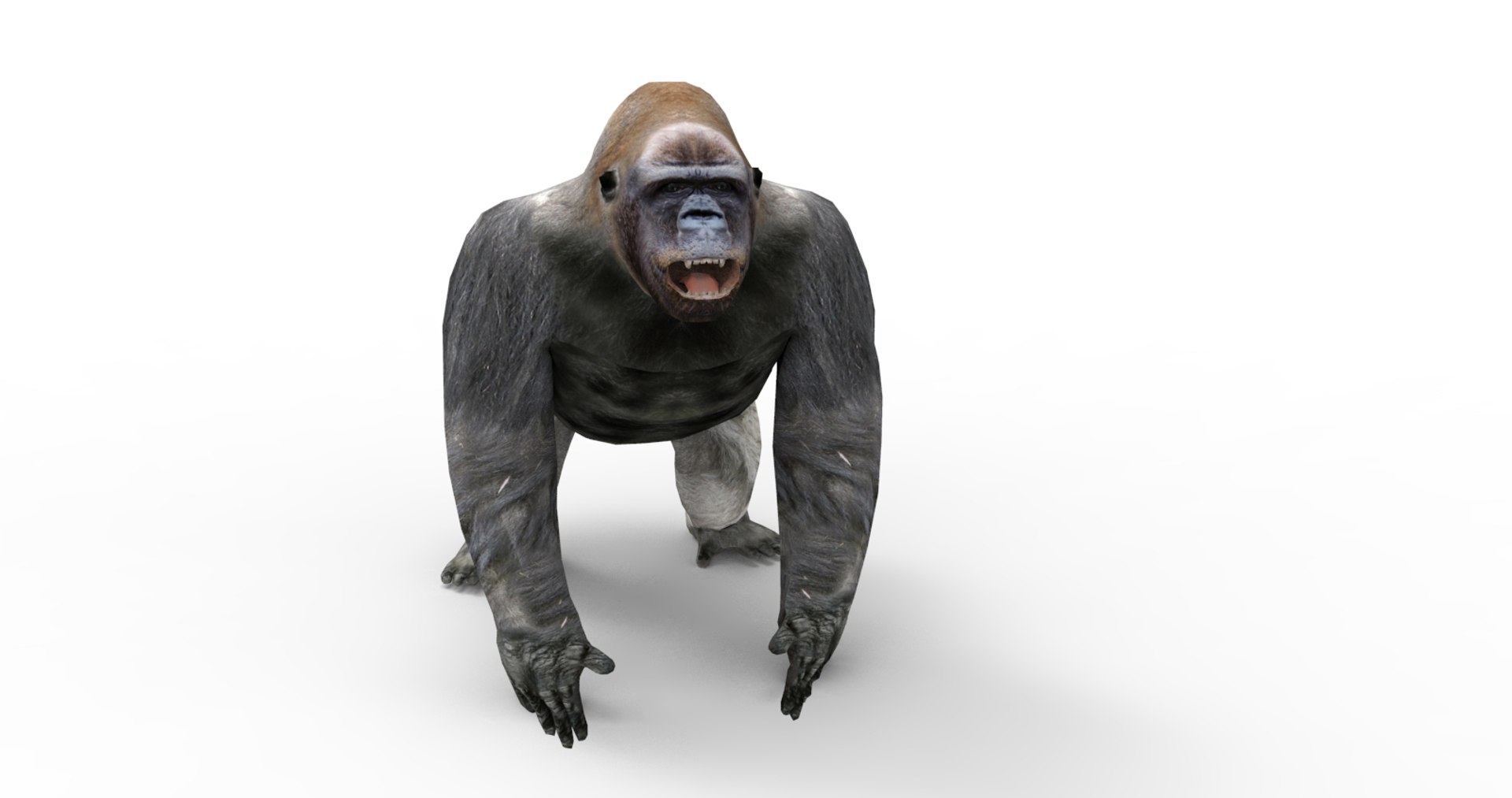 3D gorilla https://p.turbosquid.com/ts-thumb/qb/FnXIR6/rVoc4LDd/gorilla.86/jpg/1513661304/1920x1080/fit_q87/3fca2e31f00baa2db356ea7baea45bd102521022/gorilla.86.jpg