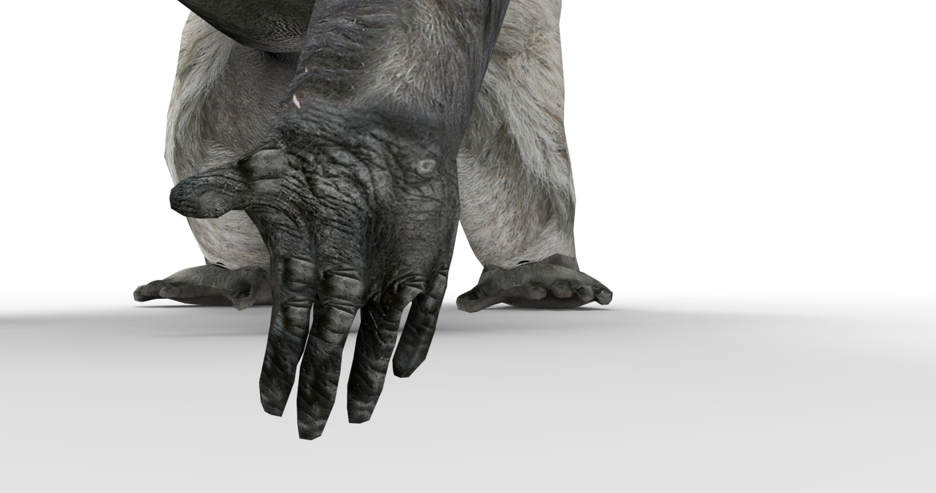 3D gorilla https://p.turbosquid.com/ts-thumb/qb/FnXIR6/yDfbEVQp/gorilla.88/jpg/1513661304/1920x1080/fit_q87/2c8aa034e8f954b78a72ff1288a0b9785e2924ad/gorilla.88.jpg