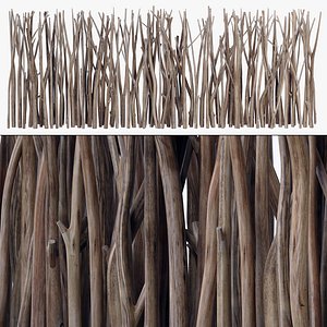 3D Branch screen sang n1