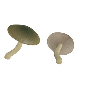 3D poisonous mushroom