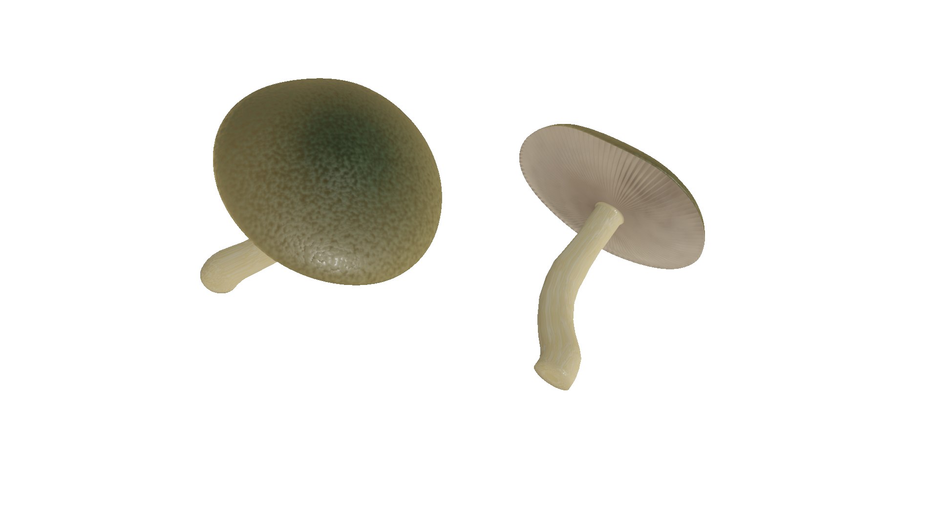 3D poisonous mushroom https://p.turbosquid.com/ts-thumb/qb/dlvI6R/Tv/f4/png/1656872147/1920x1080/fit_q87/477ae2170f1a1a3d1c40c064e1f9d5ebb763f860/f4.jpg