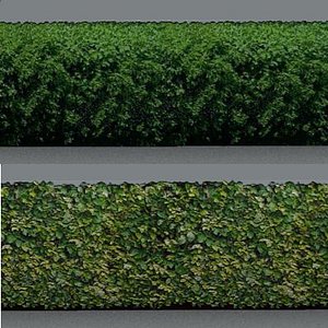 hedges 01