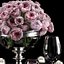 table setting roses max