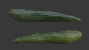 Elongated Green Zucchini Scan 3D