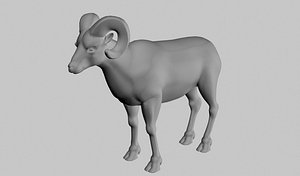 bighorn sheep 3d model