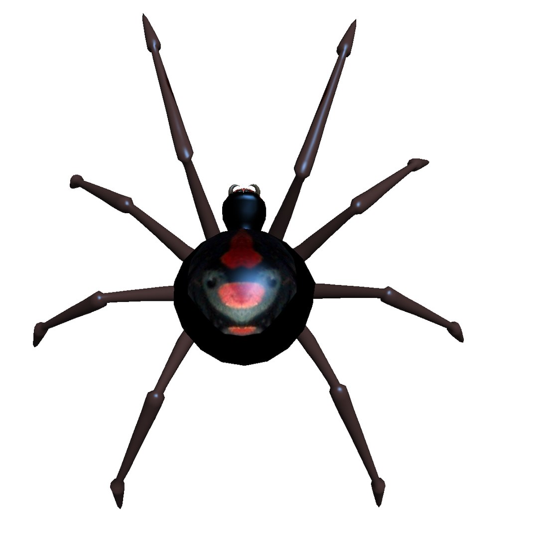 Black Widow Spider Animation Model - TurboSquid 1151466