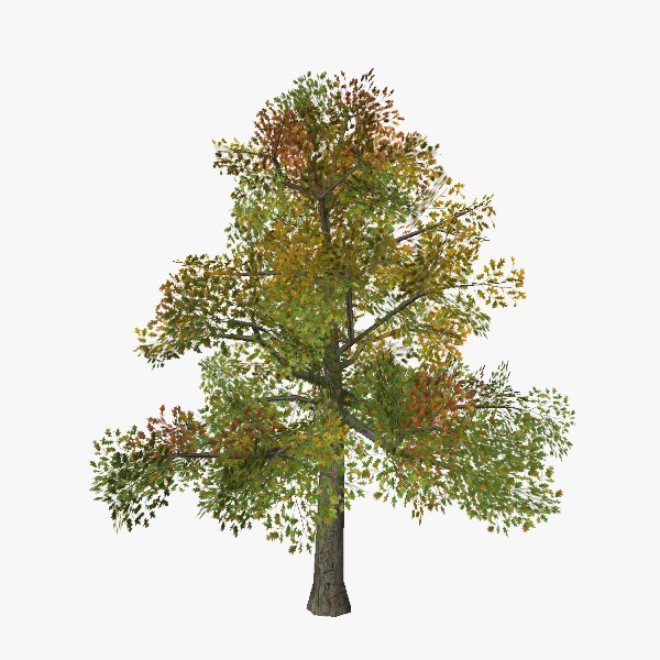 3d tree 13