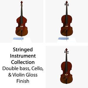 Stringed Musical Collection Glossy