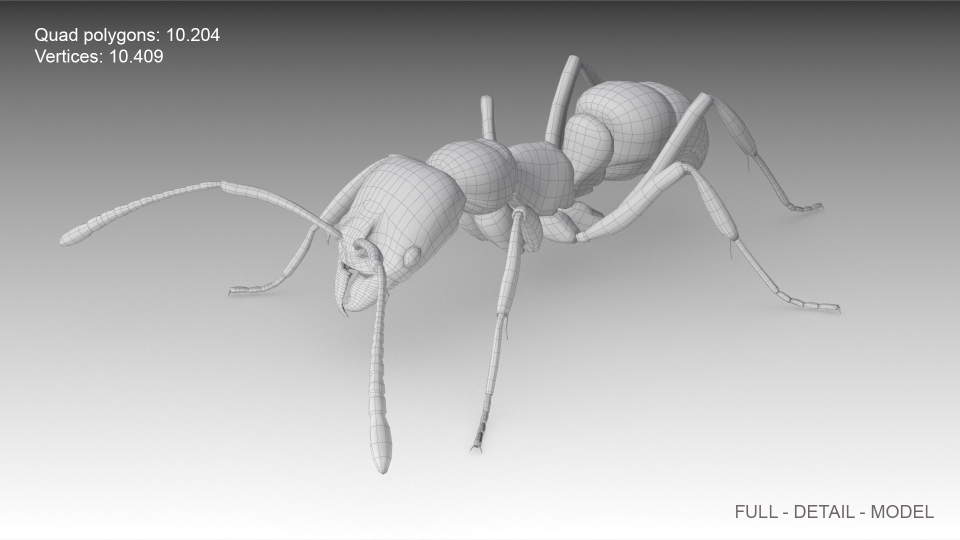 asian needle ant animations model https://p.turbosquid.com/ts-thumb/qc/UkTP8U/3STPSOSB/needleant_screenshot_07/jpg/1550786695/1920x1080/fit_q87/f633a2484a0002ab397d37307c38b25b6df8f8a1/needleant_screenshot_07.jpg