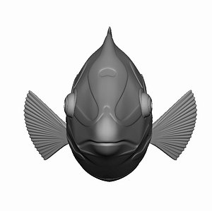 Checkerboard Wrasse Fish - OBJ format