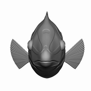 Checkerboard Wrasse Fish - OBJ format
