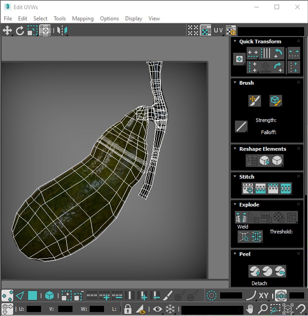 3D Gallbladder Model - TurboSquid 2267349