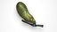 3D Gallbladder model