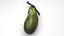 3D Gallbladder model