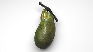 Gallbladder