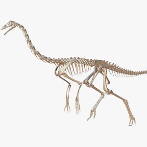 3D model ornithomimus ornithomimid dinosaurs