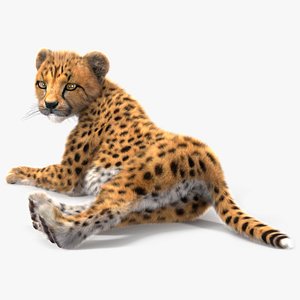 Cheetah Cub Lying Pose Fur for Cinema 4D 3D model