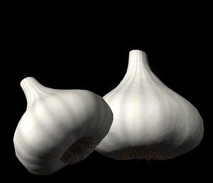 3d food model