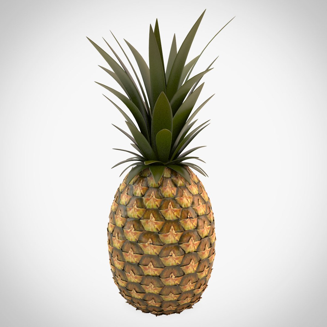 Pineapple 3d Model