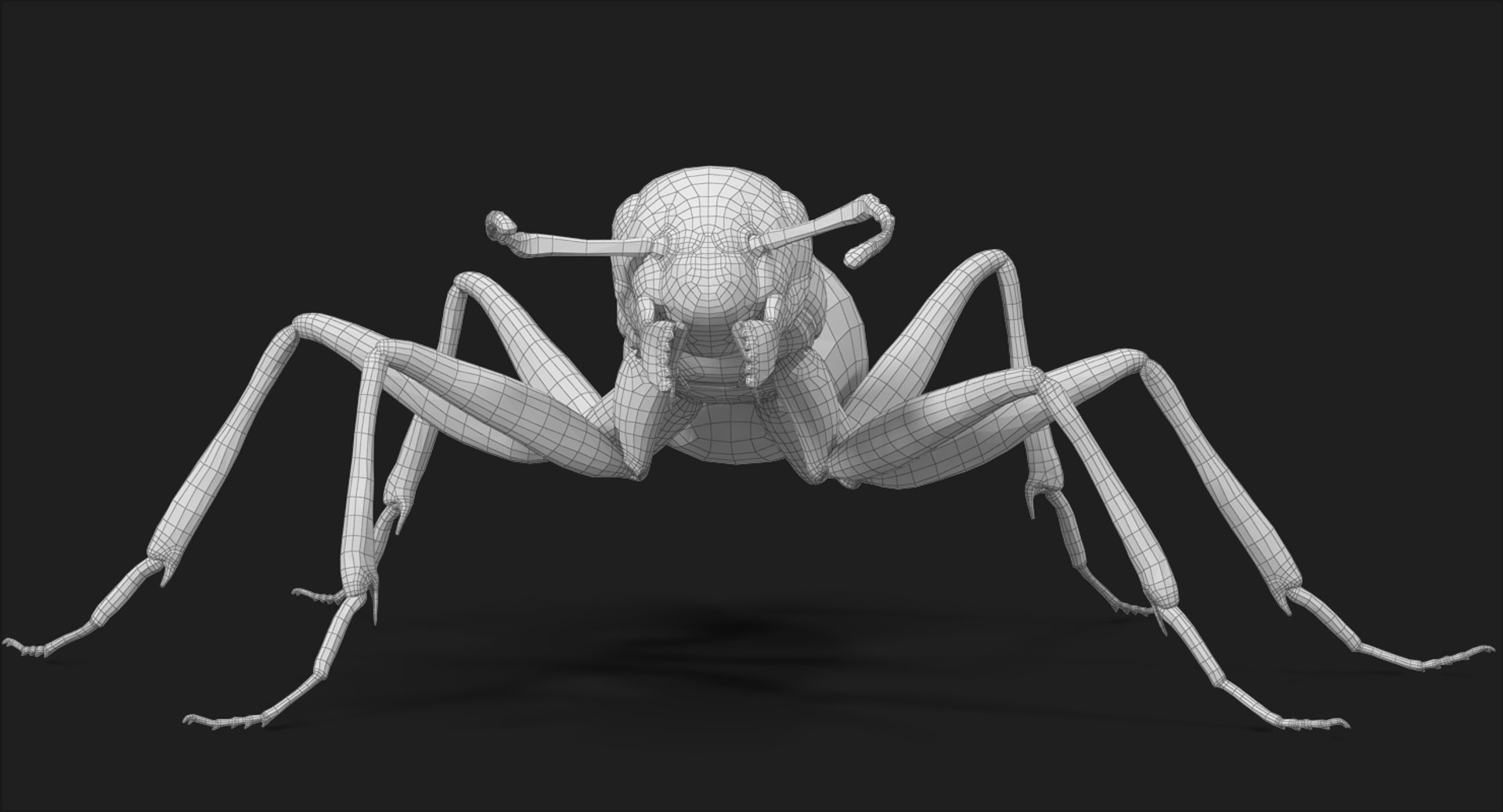3d ant pose 3 https://p.turbosquid.com/ts-thumb/qd/26lJU0/ovnHe8cI/subdivision_level_014/jpg/1487484433/1920x1080/fit_q87/4ef1a023e4c31bbe5adf9a1542bd2f7bb96594d6/subdivision_level_014.jpg