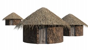 Thatch Hut