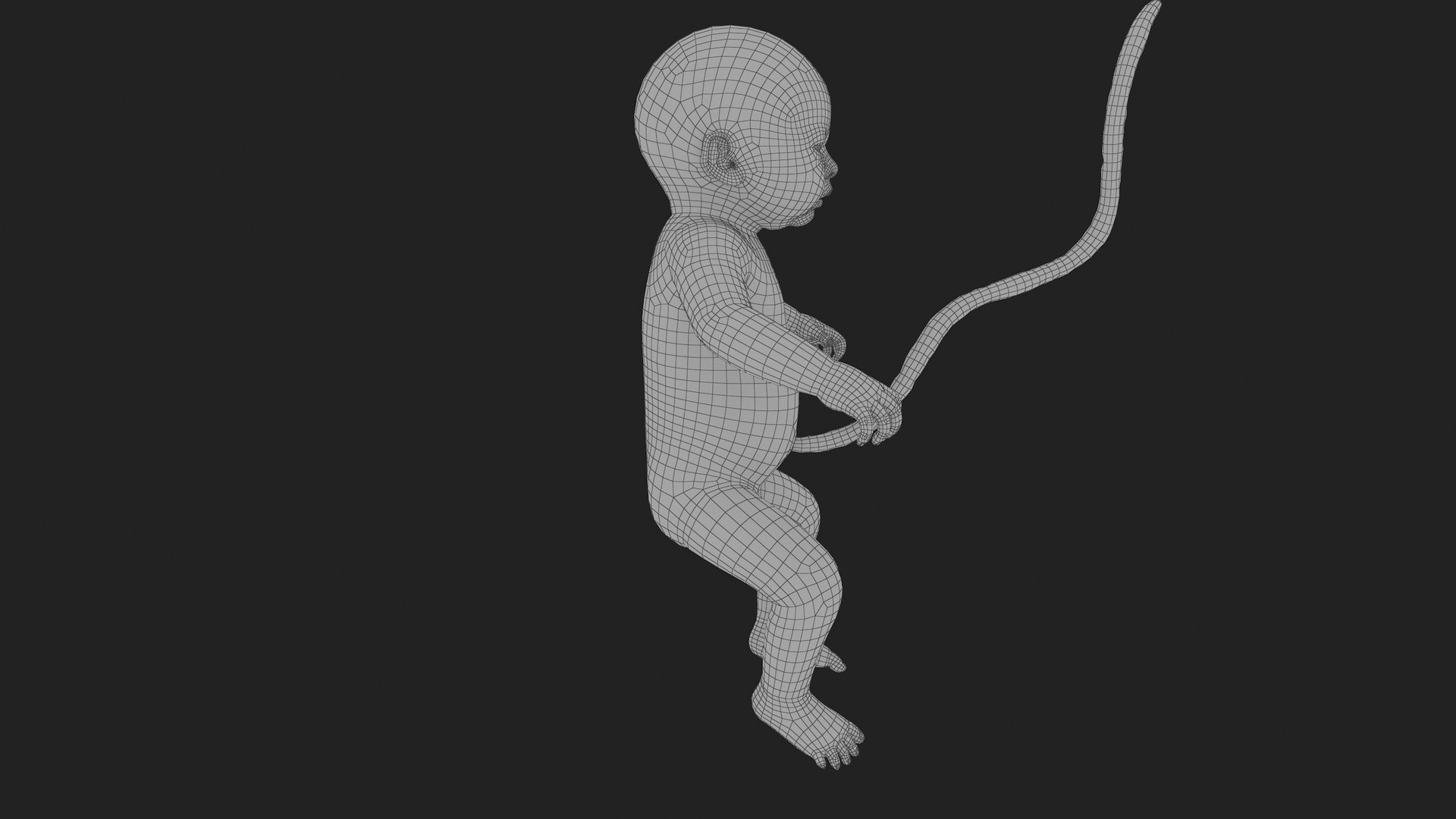 Fetus No Rig 3D model https://p.turbosquid.com/ts-thumb/qd/9kPJ18/Zf/ygftu0009/jpg/1701087498/1920x1080/fit_q87/b3ad723da00bebe61a9066ff0297f9a228d5b6e3/ygftu0009.jpg