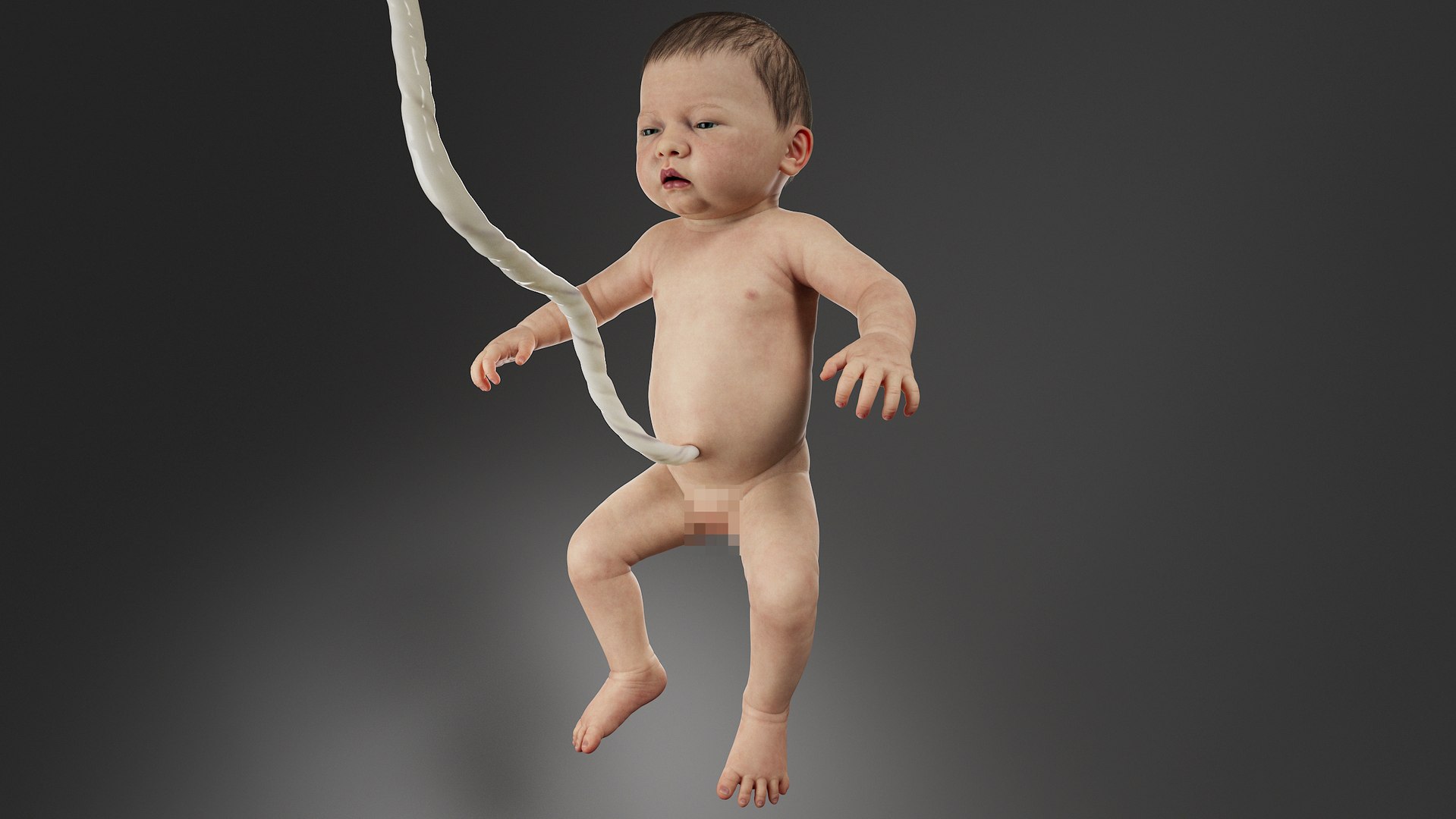 Fetus No Rig 3D model https://p.turbosquid.com/ts-thumb/qd/9kPJ18/tA/otus0033/jpg/1701087270/1920x1080/fit_q87/f1bfc93c8047b6eb6b4bdf916f848394395eab40/otus0033.jpg